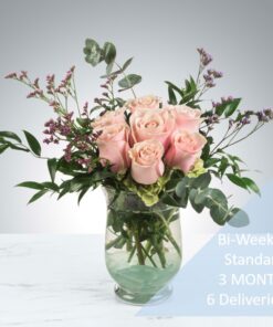 BI WEEKLY SUBSCRIPTION - STANDARD- 3 MONTH