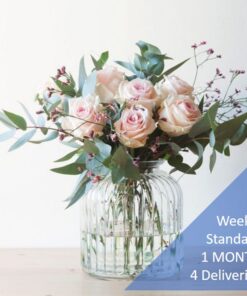 WEEKLY SUBSCRIPTION - STANDARD- 1 MONTH