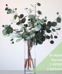 Botanico Foliage subscription standard 2 deliveries biweekly