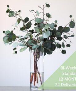 Botanico Foliage subscription standard 24 deliveries biweekly