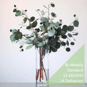 Botanico Foliage subscription standard 24 deliveries biweekly