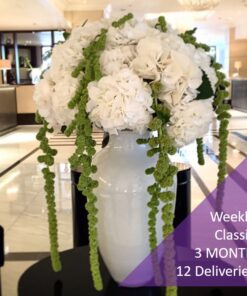 WEEKLY OFFICE FLOWER ARRANGEMENT subscription standard 12 deliveries