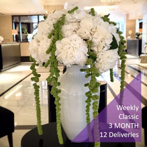 WEEKLY OFFICE FLOWER ARRANGEMENT subscription standard 12 deliveries