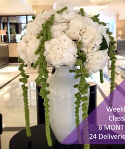 WEEKLY OFFICE FLOWER ARRANGEMENT subscription standard 24 deliveries
