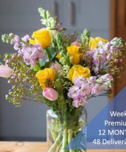 weekly flower subscription premium 48 deliveries