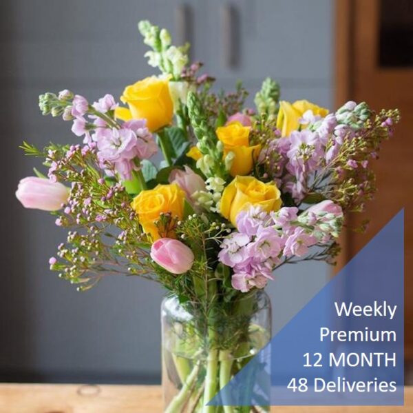 weekly flower subscription premium 48 deliveries