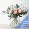 weekly flower subscription standard 48 deliveries