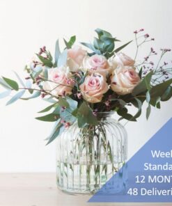 weekly flower subscription standard 48 deliveries